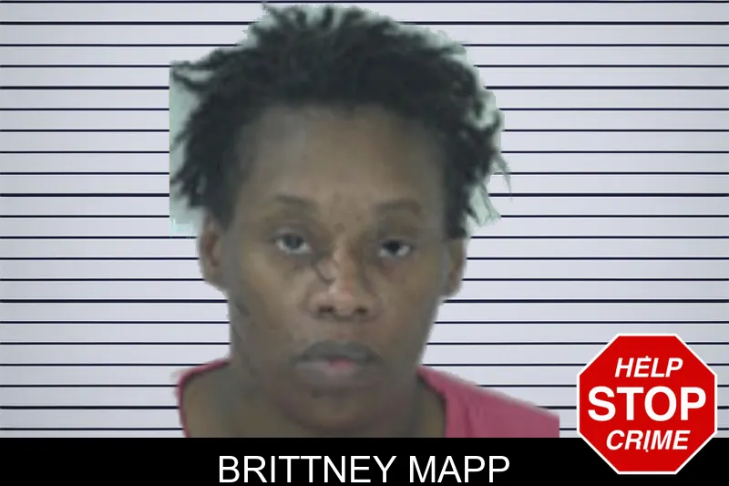 Brittney Mapp mugshot