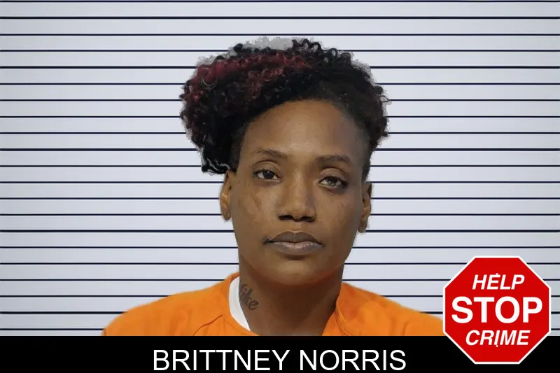 Brittney Norris mugshot – Bibb County , Georgia Brittney Norris mugshot