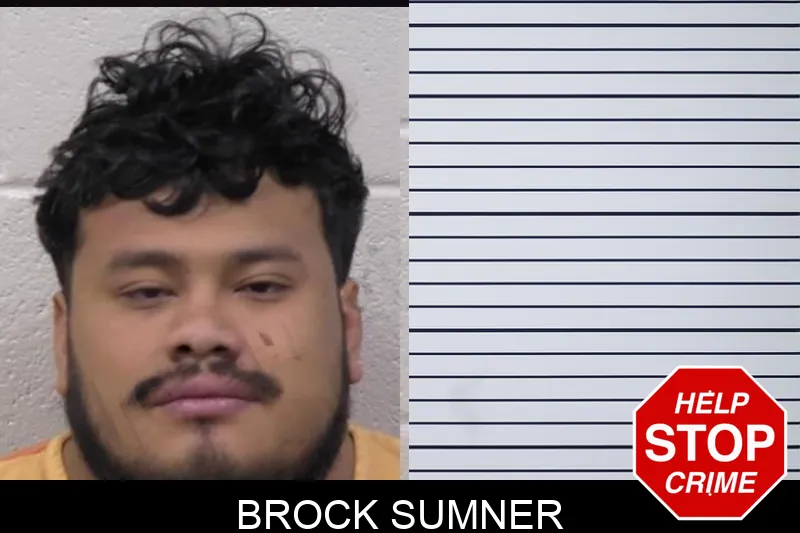 Brock Sumner mugshot – Paulding County , Georgia Brock Sumner mugshot