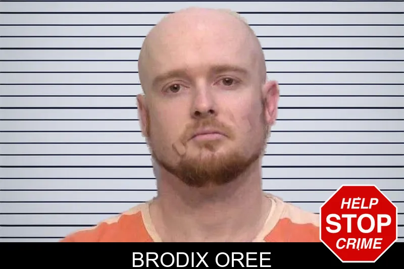 Brodix Oree mugshot – Bartow County , Georgia Brodix Oree mugshot