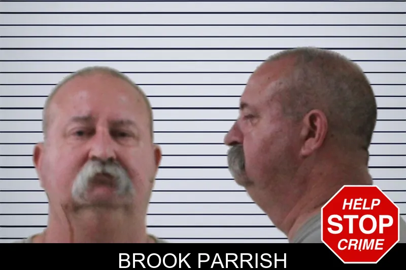 Brook Parrish mugshot – Houston County , Georgia Brook Parrish mugshot