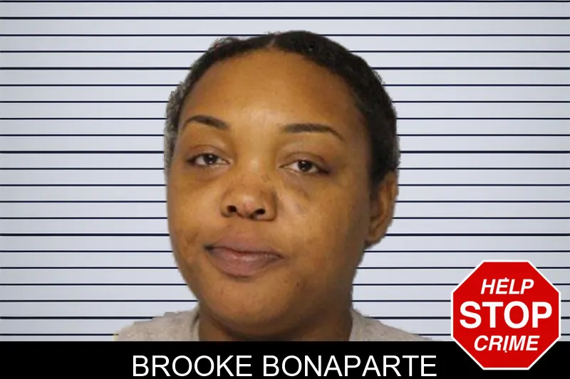 Brooke Bonaparte mugshot – Hall County , Georgia Brooke Bonaparte mugshot
