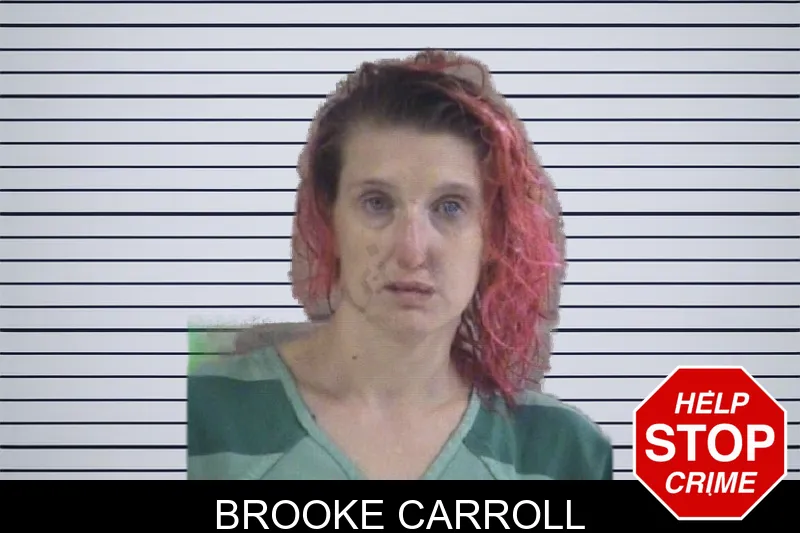 Brooke Carroll mugshot – Whitfield County , Georgia Brooke Carroll mugshot