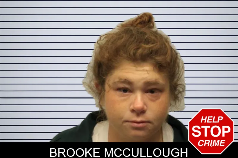 Brooke McCullough mugshot – Chatham County , Georgia Brooke McCullough mugshot