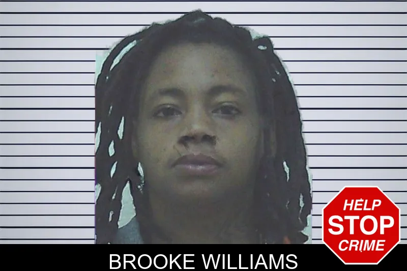 Brooke Williams mugshot