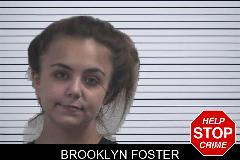 Brooklyn Foster mugshot – McDuffie County , Georgia Brooklyn Foster mugshot