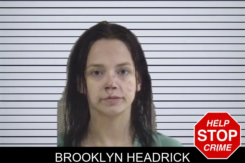 Brooklyn Headrick mugshot – Whitfield County , Georgia Brooklyn Headrick mugshot