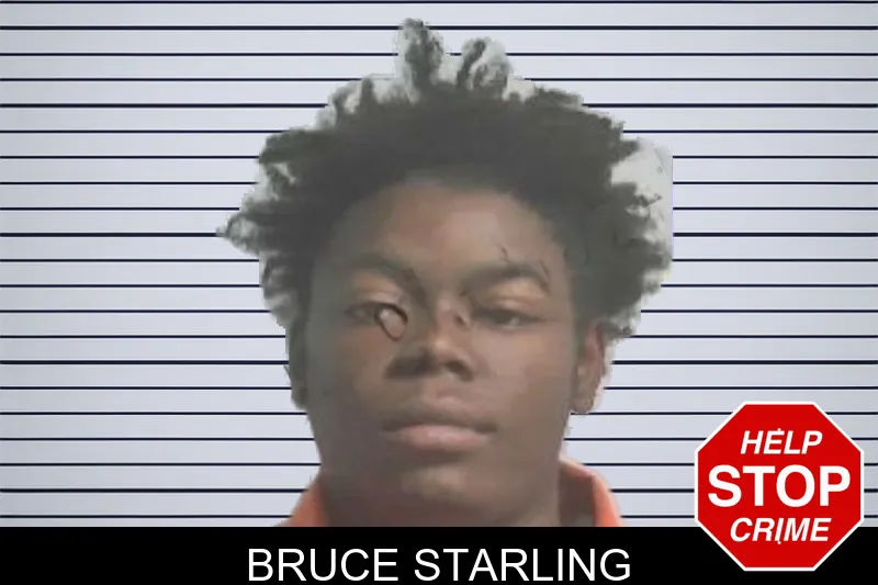 Bruce Starling mugshot – Colquitt County , Georgia Bruce Starling mugshot