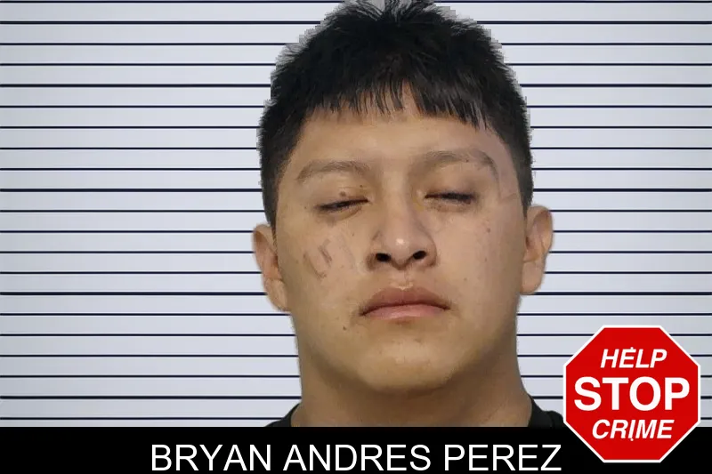 Bryan Andres Perez mugshot