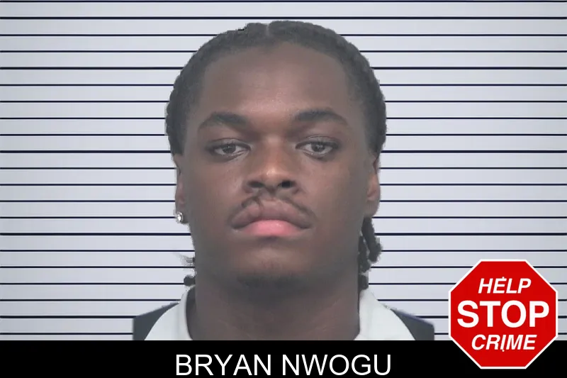 Bryan Nwogu mugshot