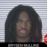 Brysen Mullins mugshot – Fayette County , Georgia Brysen Mullins mugshot