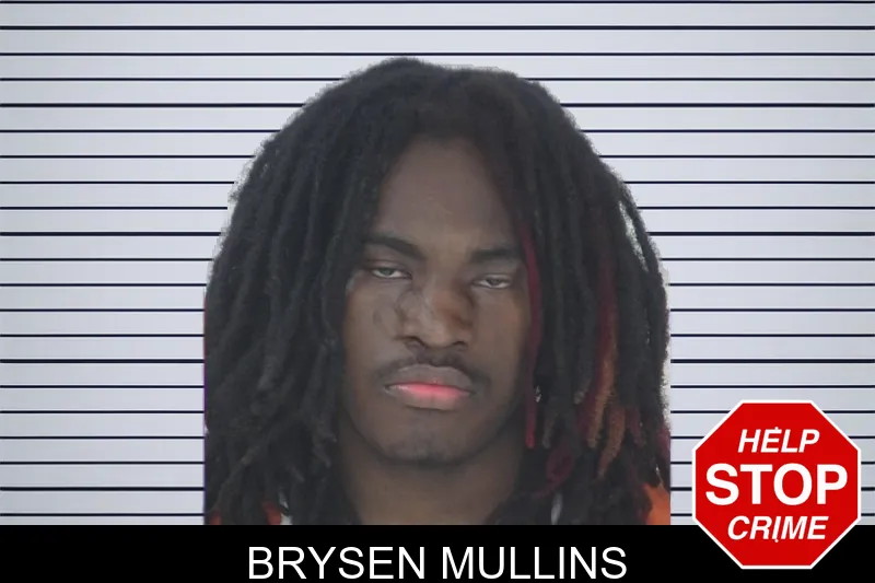 Brysen Mullins mugshot – Fayette County , Georgia Brysen Mullins mugshot
