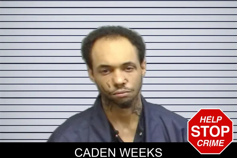Caden Weeks mugshot – Fulton County , Georgia Caden Weeks mugshot