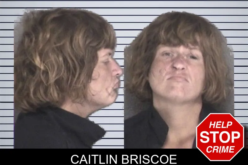 Caitlin Briscoe mugshot