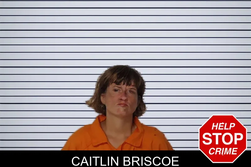 Caitlin Briscoe mugshot – Rockdale County , Georgia Caitlin Briscoe mugshot