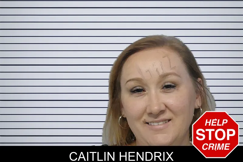 Caitlin Hendrix mugshot – Bibb County , Georgia Caitlin Hendrix mugshot