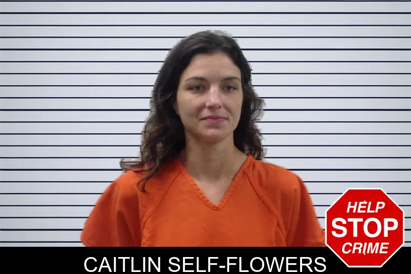 Caitlin Self-Flowers mugshot – Pickens County , Georgia Caitlin Self-Flowers mugshot