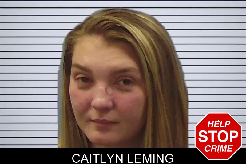 Caitlyn Leming mugshot – Chattooga County , Georgia Caitlyn Leming mugshot