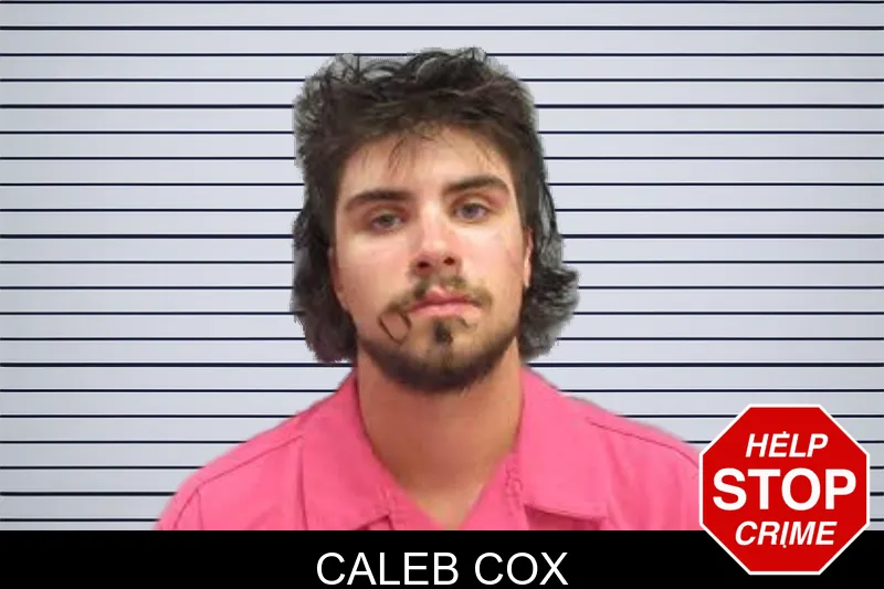 Caleb Cox mugshot – Lee County , Georgia Caleb Cox mugshot