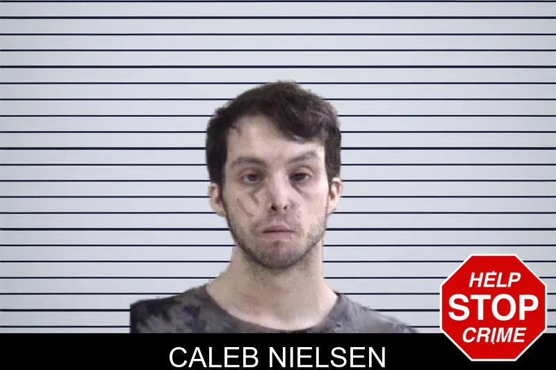 Caleb Nielsen mugshot – Whitfield County , Georgia Caleb Nielsen mugshot