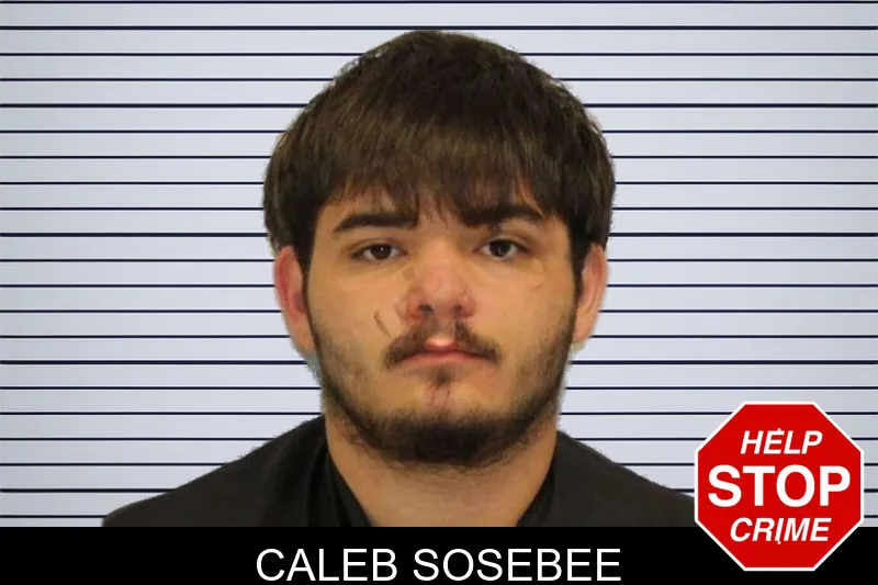 Caleb Sosebee mugshot