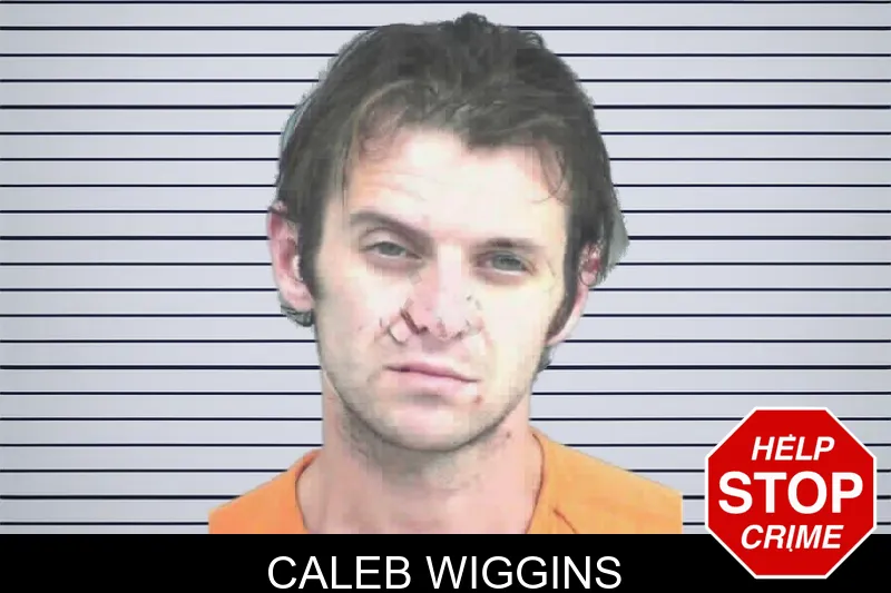 Caleb Wiggins mugshot – Mitchell County , Georgia Caleb Wiggins mugshot