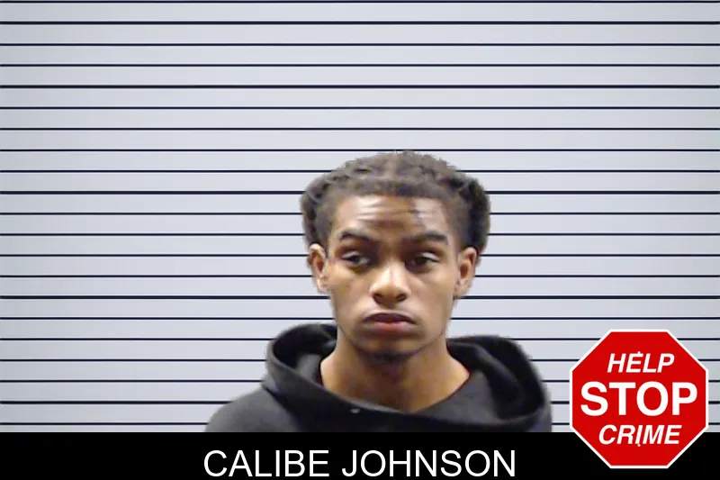 Calibe Johnson mugshot – DeKalb County , Georgia Calibe Johnson mugshot