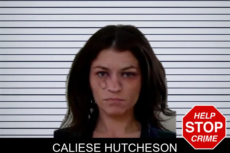 Caliese Hutcheson mugshot – Liberty County , Georgia Caliese Hutcheson mugshot