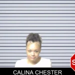Calina Chester mugshot – DeKalb County , Georgia Calina Chester mugshot