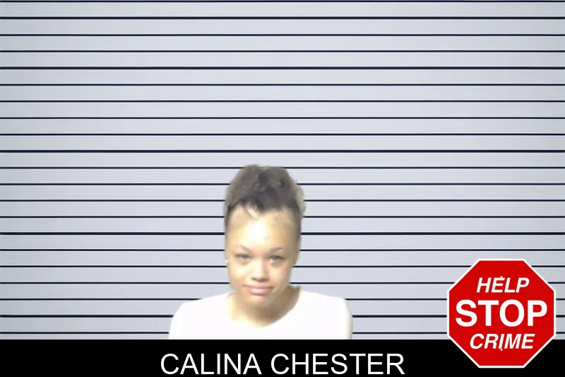 Calina Chester mugshot – DeKalb County , Georgia Calina Chester mugshot