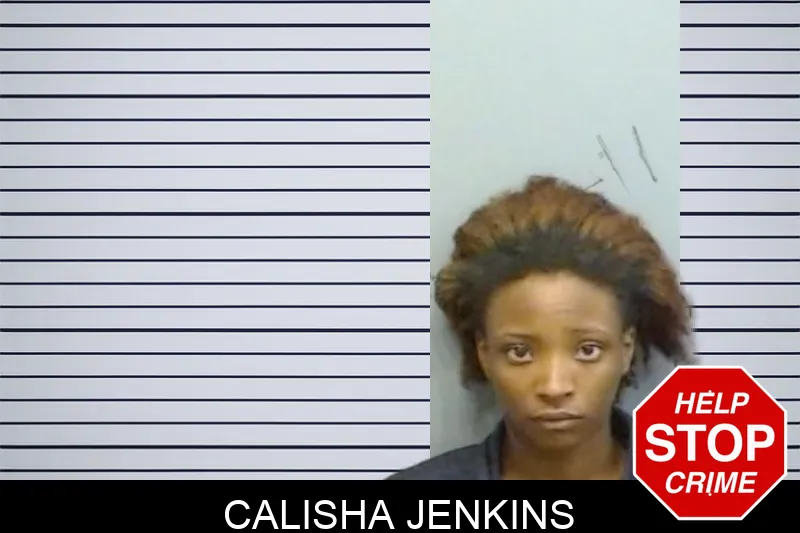 Calisha Jenkins mugshot – Fulton County , Georgia Calisha Jenkins mugshot