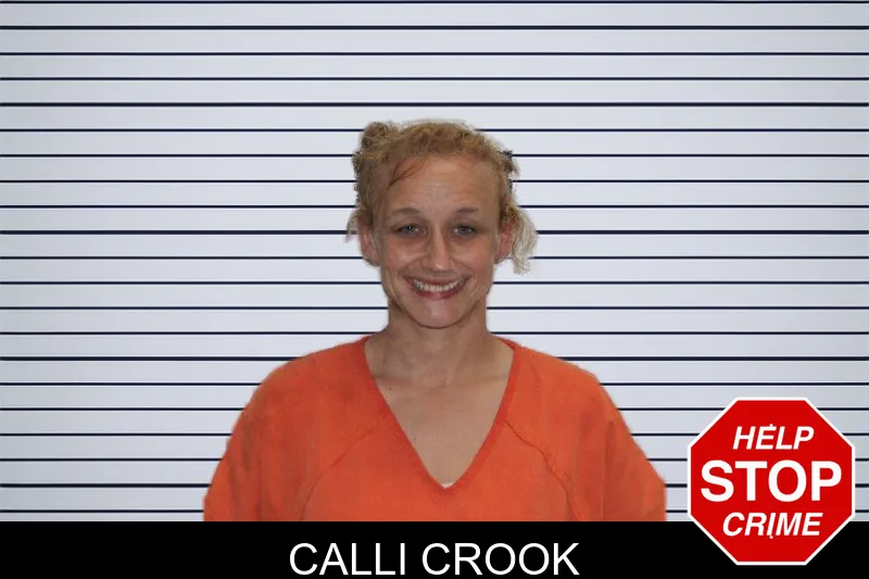 Calli Crook mugshot