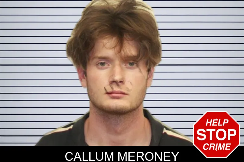 Callum Meroney mugshot – Chatham County , Georgia Callum Meroney mugshot