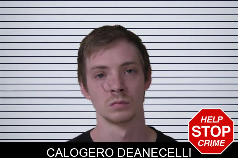 Calogero Deanecelli mugshot – Walker County , Georgia Calogero Deanecelli mugshot