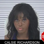 Calsie Richardson mugshot – Fayette County , Georgia Calsie Richardson mugshot