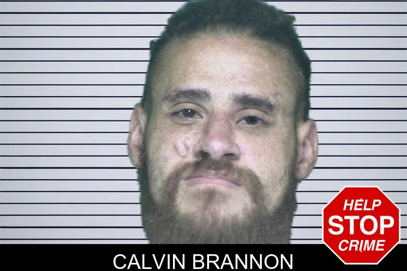 Calvin Brannon mugshot – Appling County , Georgia Calvin Brannon mugshot