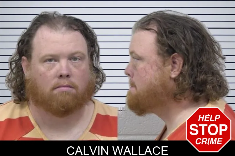 Calvin Wallace mugshot – Paulding County , Georgia Calvin Wallace mugshot