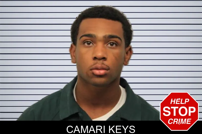 Camari Keys mugshot – Chatham County , Georgia Camari Keys mugshot