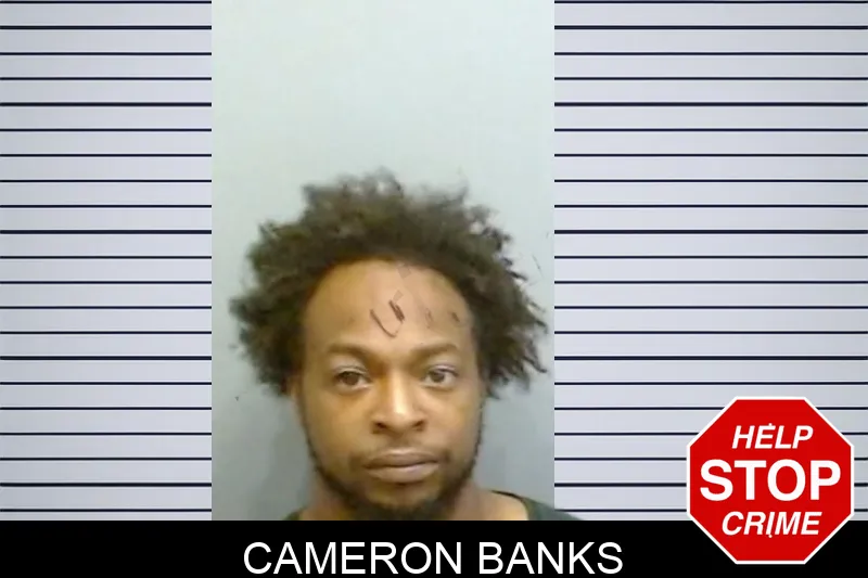 Cameron Banks mugshot – Fulton County , Georgia Cameron Banks mugshot