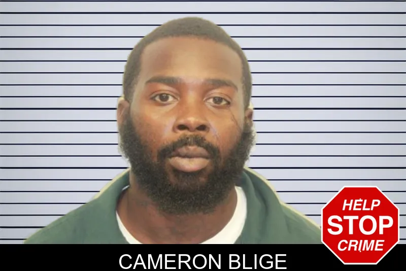 Cameron Blige mugshot – Chatham County , Georgia Cameron Blige mugshot