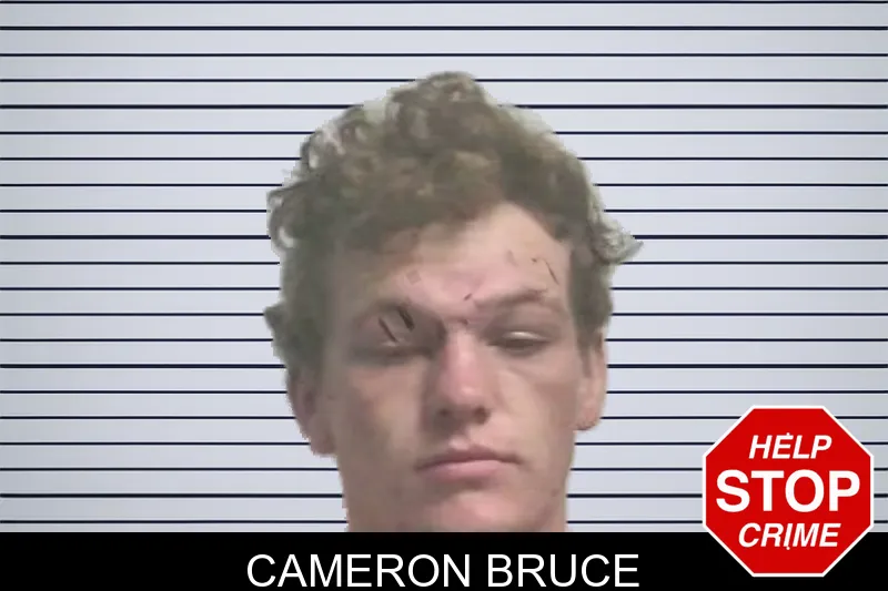 Cameron Bruce mugshot – Colquitt County , Georgia Cameron Bruce mugshot
