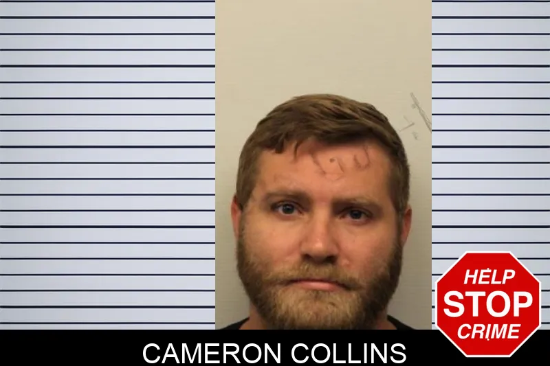 Cameron Collins mugshot – Chatham County , Georgia Cameron Collins mugshot