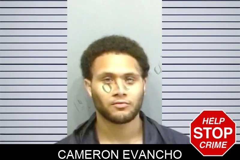 Cameron Evancho mugshot – Fulton County , Georgia Cameron Evancho mugshot