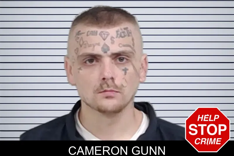 Cameron Gunn mugshot