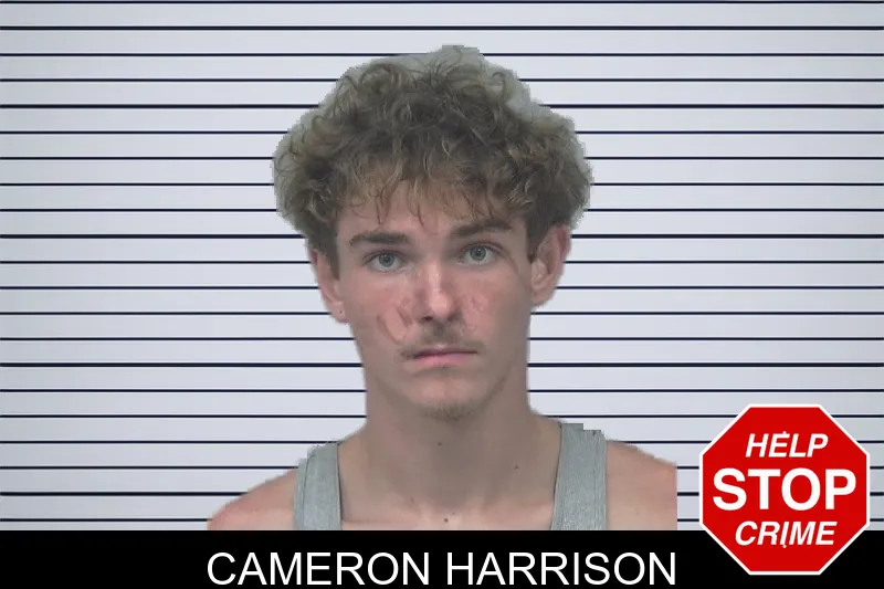 Cameron Harrison mugshot – Gwinnett County , Georgia Cameron Harrison mugshot