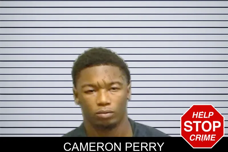 Cameron Perry mugshot – Fulton County , Georgia Cameron Perry mugshot