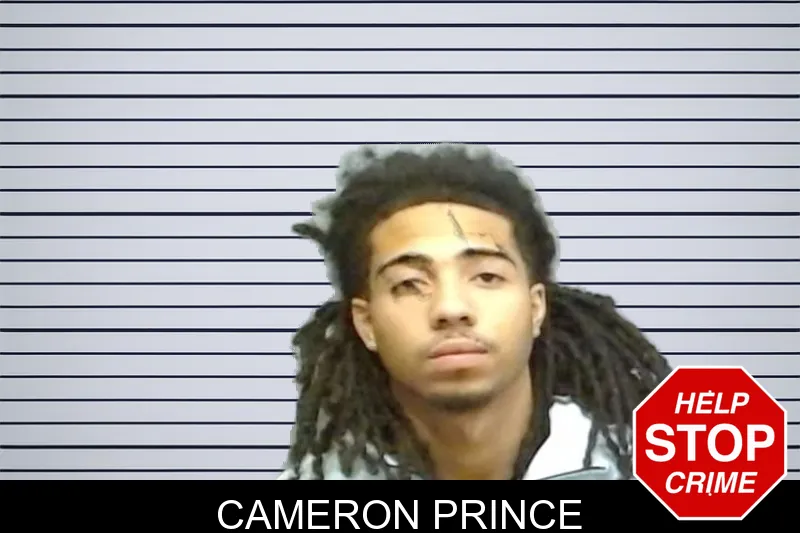 Cameron Prince mugshot – Fulton County , Georgia Cameron Prince mugshot