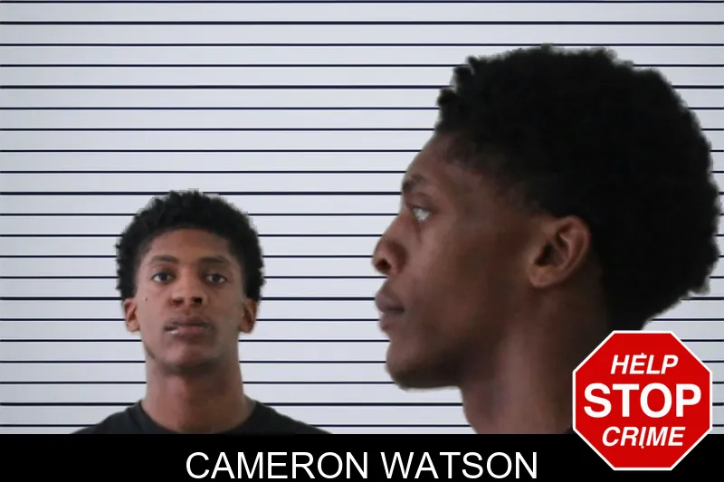 Cameron Watson mugshot – Houston County , Georgia Cameron Watson mugshot