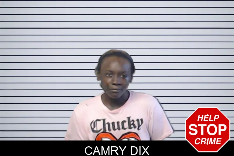 Camry Dix mugshot – DeKalb County , Georgia Camry Dix mugshot