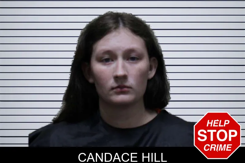 Candace Hill mugshot – Haralson County , Georgia Candace Hill mugshot